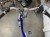 IMG_8669(1).JPEG